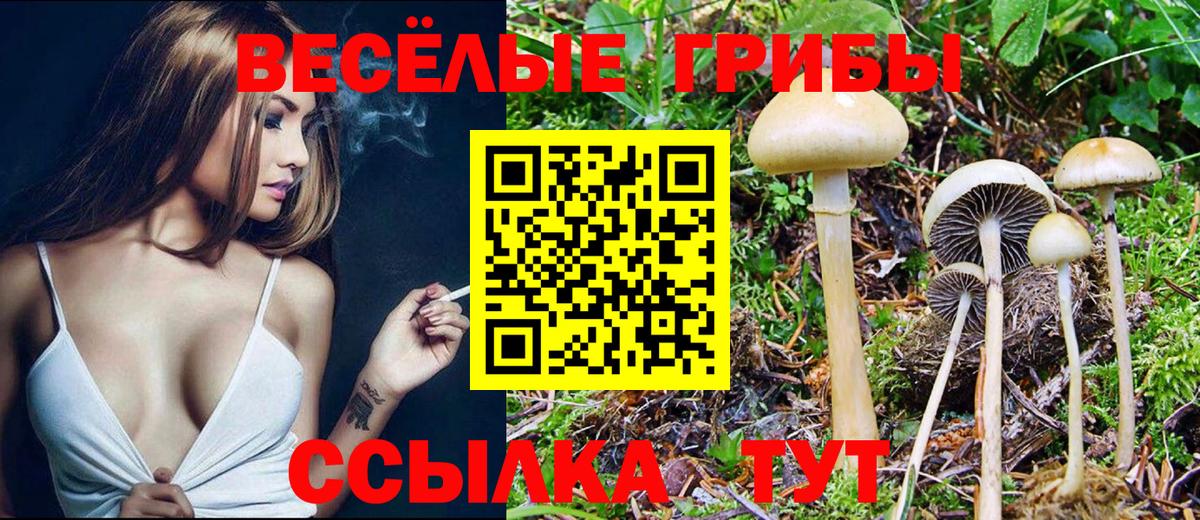 Галлюциногенные грибы мицелий  Вход с VPN  Грязи  Псилоцибиновые грибы MAGIC MUSHROOMS 