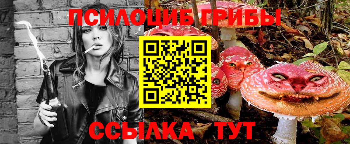 Псилоцибиновые грибы прущие грибы Грязи